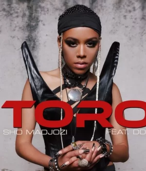 Sho Madjozi – Toro ft. DDG