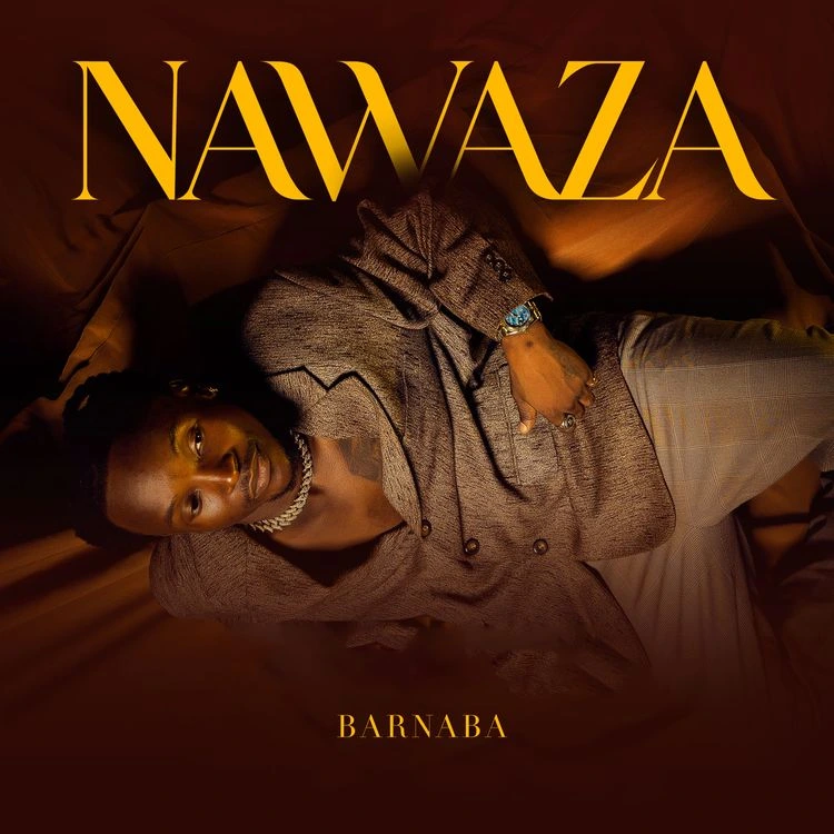 Song by Barnaba – Nawaza